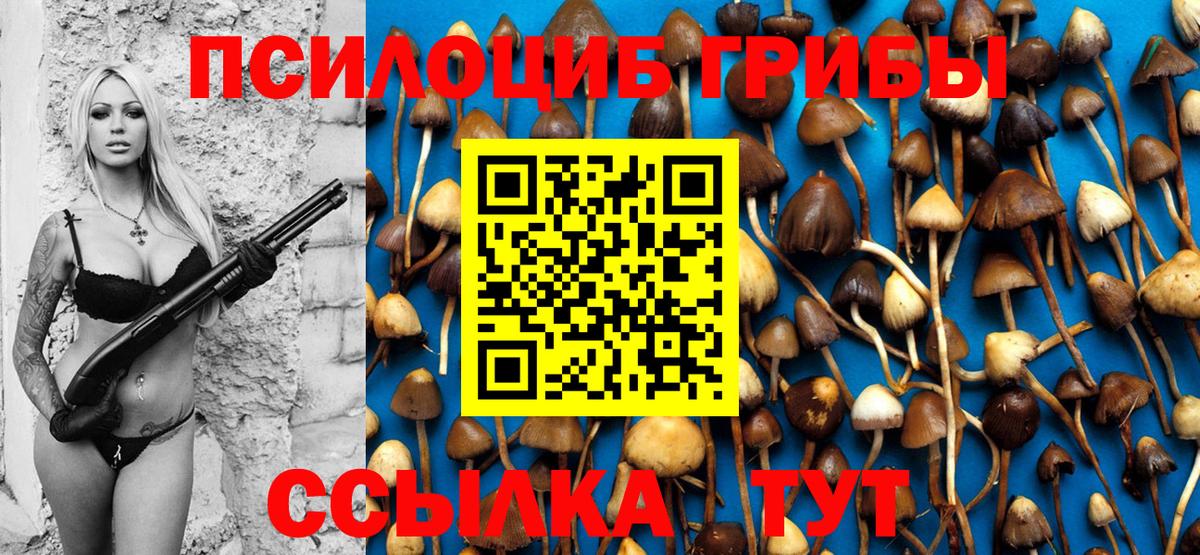 Псилоцибиновые грибы мухоморы  Вход с VPN  Хасавюрт 
