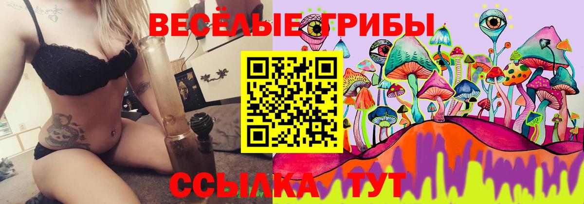Псилоцибиновые грибы GOLDEN TEACHER Хасавюрт